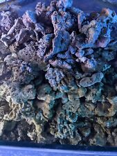 Marine aquarium live for sale  PENRITH