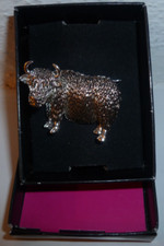 New highland cattle for sale  BOLTON