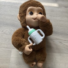 Little live pets for sale  DERBY