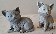 Lot cat kitty for sale  Cottonwood