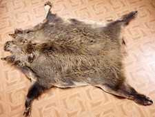 Schönes wildschweinfell wild gebraucht kaufen  Kirchberg