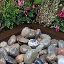 Scottish cobbles 90mm for sale Scottish cobbles 90mm for sale  DARLINGTON