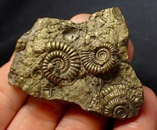 Large full pyrite for sale  BRISTOL