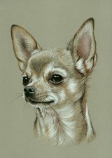 RYSUNEK CHIHUAHUA  PIES Original pastel drawing of dog - Zeichnung der hund, używany na sprzedaż  PL