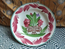 Vintage sarreguemines plate for sale  BELFAST
