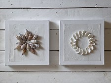Muschel bilder kunst gebraucht kaufen  Alzey