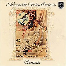 Maastricht salon rchester gebraucht kaufen  Berlin