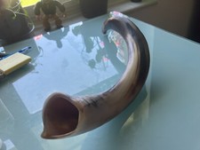 Shofar yemenite kudu for sale  Fort Lauderdale