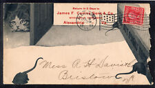 1905 commercial cat for sale  Berkley