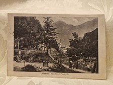 Cartolina sondrio gombaro usato  Bologna