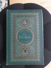 Jules verne hetzel d'occasion  La Montagne