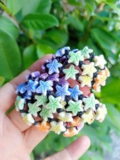 10 pulseiras de náilon encerado pretas feitas à mão para crianças Star Fish no atacado comprar usado  Enviando para Brazil
