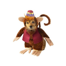 Rubie disney aladdin usato  Roccagloriosa