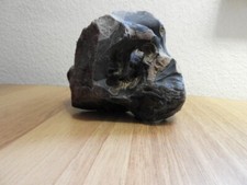 Steine naturstein aquarium gebraucht kaufen  Trebsen