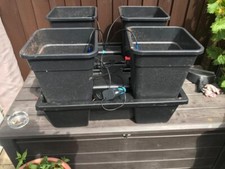 Wilma 75x75 4pot for sale  SKELMERSDALE