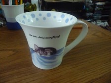 hudson middleton magnificent moggies for sale hudson middleton magnificent moggies for sale NOTTINGHAM