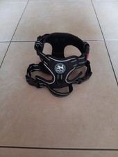 Poypet pull dog for sale Poypet pull dog for sale  LONDON