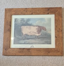 Durham print framed for sale  LONDON