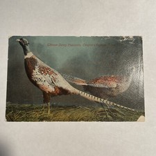 Oregon scenic chinese for sale  Westmont