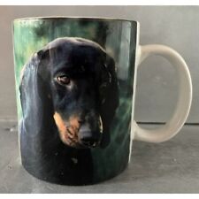 Dachshund doxie wiener for sale  Oil City
