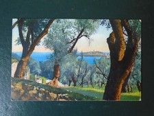 CPA Paysage provençal sur les oliviers comprar usado  Enviando para Brazil