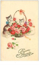 Cats. 42.happy new d'occasion  Expédié en Belgium