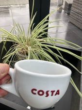 Large costa coffee for sale  BRISTOL