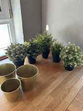 Ikea topfpflanze künstlich gebraucht kaufen  Münster-Sarmsheim