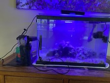 Gallon saltwater aquarium for sale  Saint Paul
