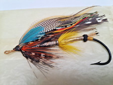 Gut eye salmon for sale  SWANSEA