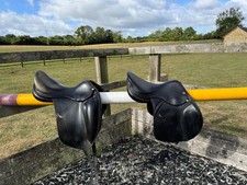 Albion dressage saddle for sale  NORTHAMPTON