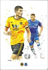 2018 wolves programmes for sale  RINGWOOD