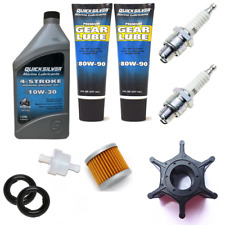 Annual service kit for sale  ELY