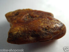 Large 20g genuine for sale  LUDLOW
