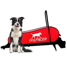 Hundelaufband dog pacer gebraucht kaufen  Brokstedt