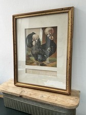 Antique print cockerel for sale  HOUGHTON LE SPRING