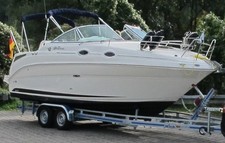 Sea ray 255 gebraucht kaufen  Linkenheim-Hochstetten