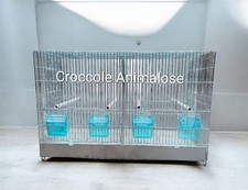 Gabbia cova per usato Gabbia cova per usato  San Tammaro