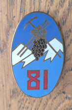 Insigne ria régiment d'occasion  Saint-Pierre-d'Oléron