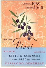 1959 pescia vivai usato  Milano
