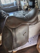 Inch brown english for sale  SHEFFIELD