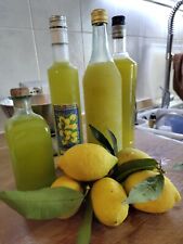 Limoncello artigianale litro usato  Casoria