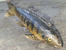 Isca de peixe antiga La Crosse, Wisconsin década de 1930 rio baixo comprar usado Isca de peixe antiga La Crosse, Wisconsin década de 1930 rio baixo comprar usado  Enviando para Brazil