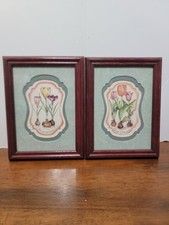 Two framed tulip for sale  Marshall