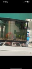 Superfish start black for sale  HEMEL HEMPSTEAD