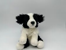 Wilberry border collie for sale  NORTHAMPTON
