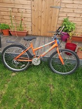 Max raleigh bicycle for sale  DUKINFIELD