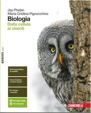 Libro usato come usato  Mottola