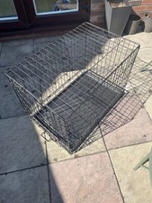 Medium sized dog for sale  MANCHESTER