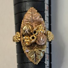 Vintage black hills for sale  Naperville